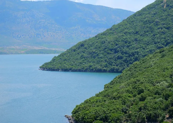 Pellumb * 卡萨米尔