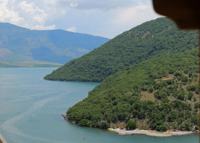 Pellumb * 卡萨米尔